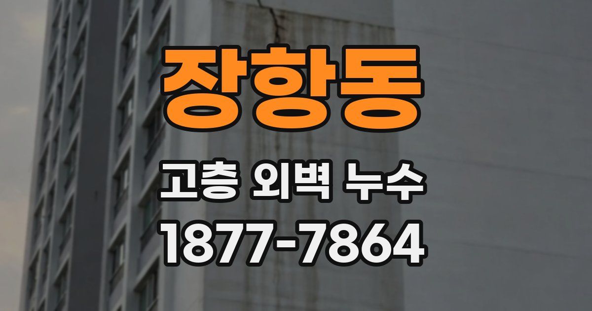 장항동 고층 외벽 누수