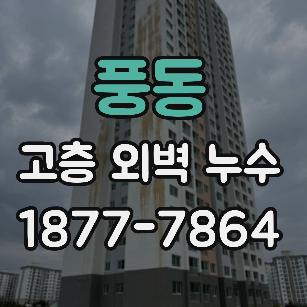 풍동 고층 외벽 누수