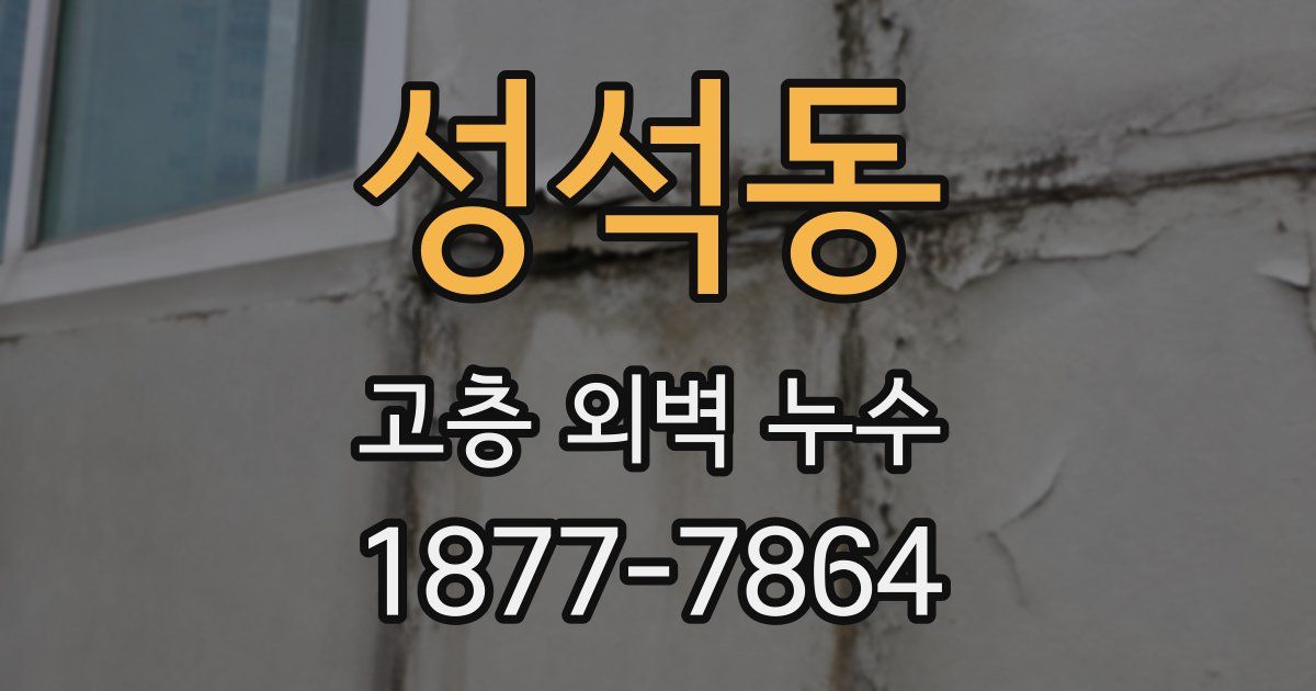 성석동 고층 외벽 누수
