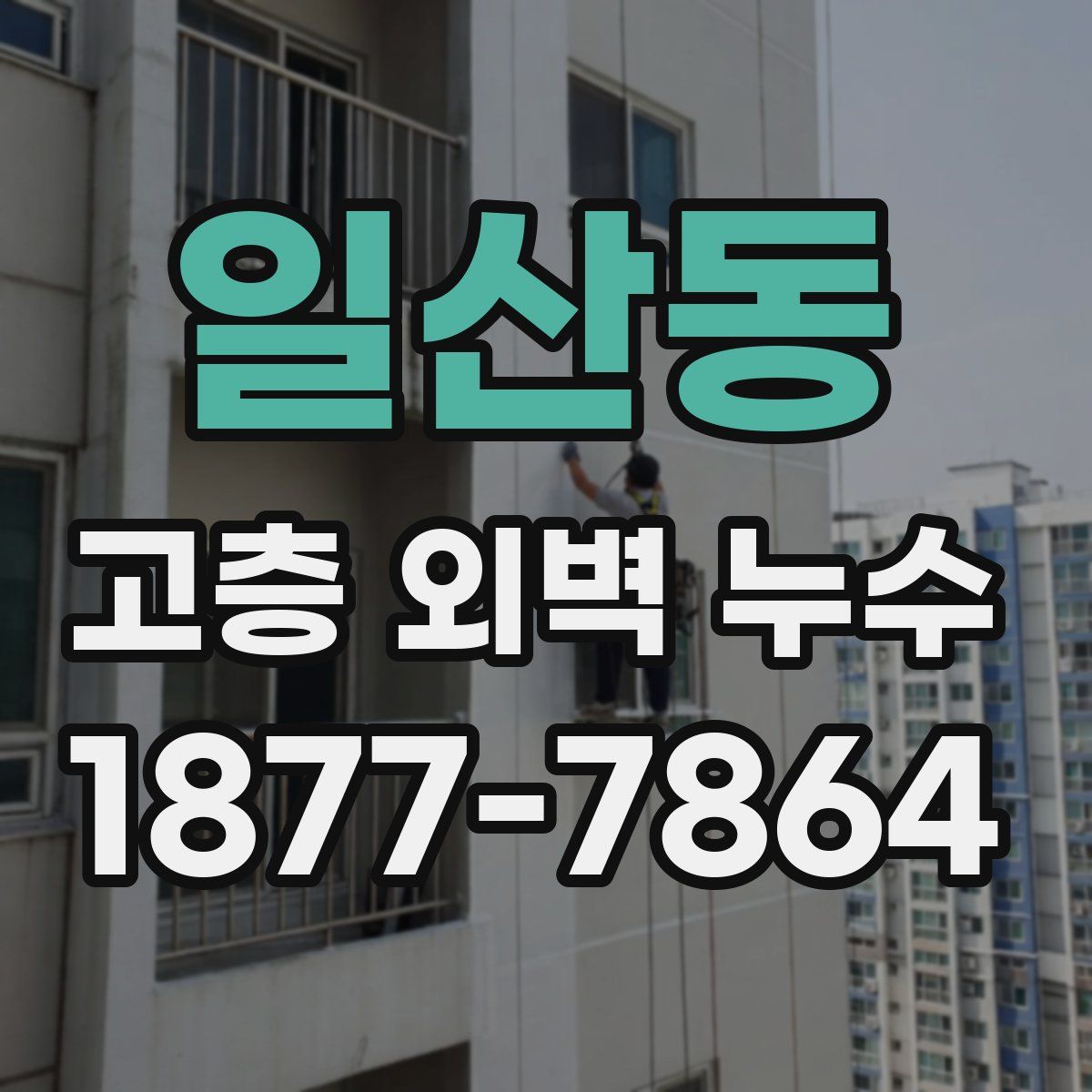 일산동 고층 외벽 누수