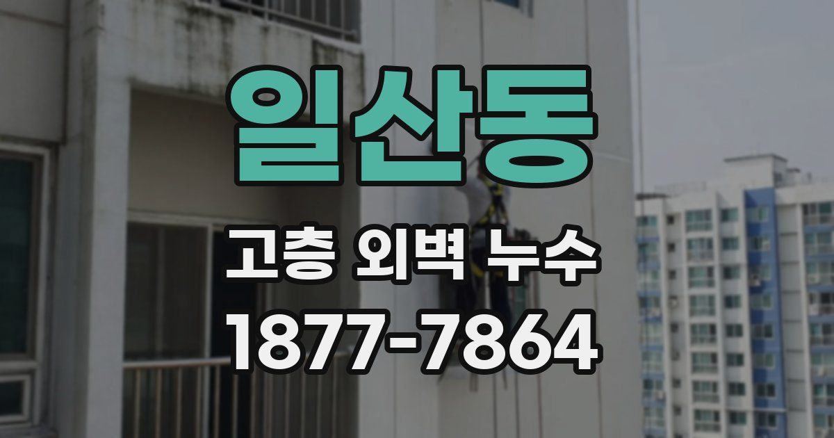 일산동 고층 외벽 누수