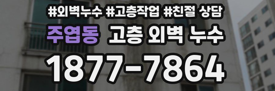 주엽동 고층 외벽 누수