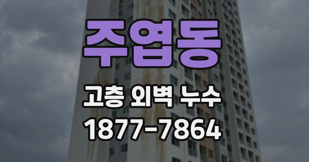 주엽동 고층 외벽 누수