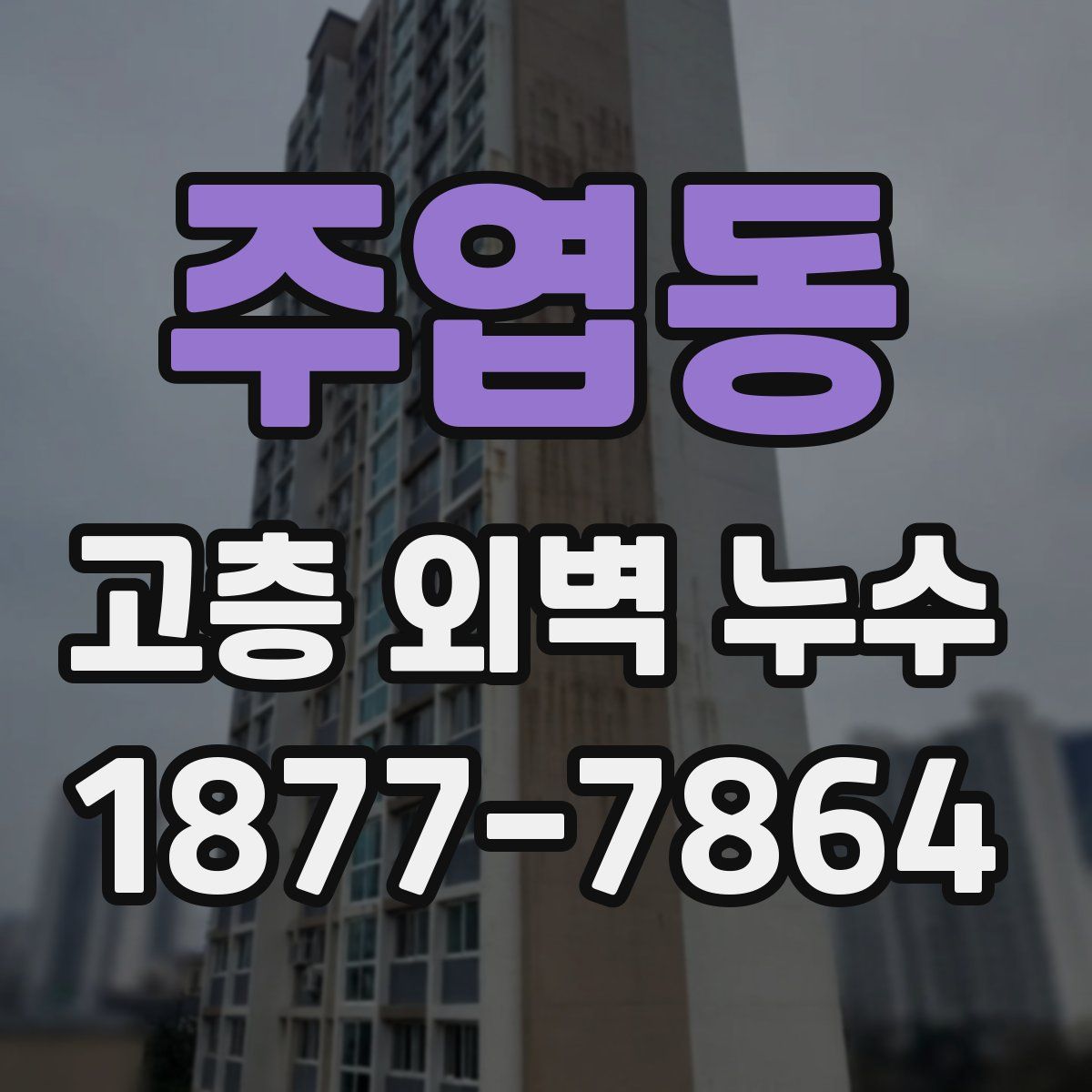 주엽동 고층 외벽 누수
