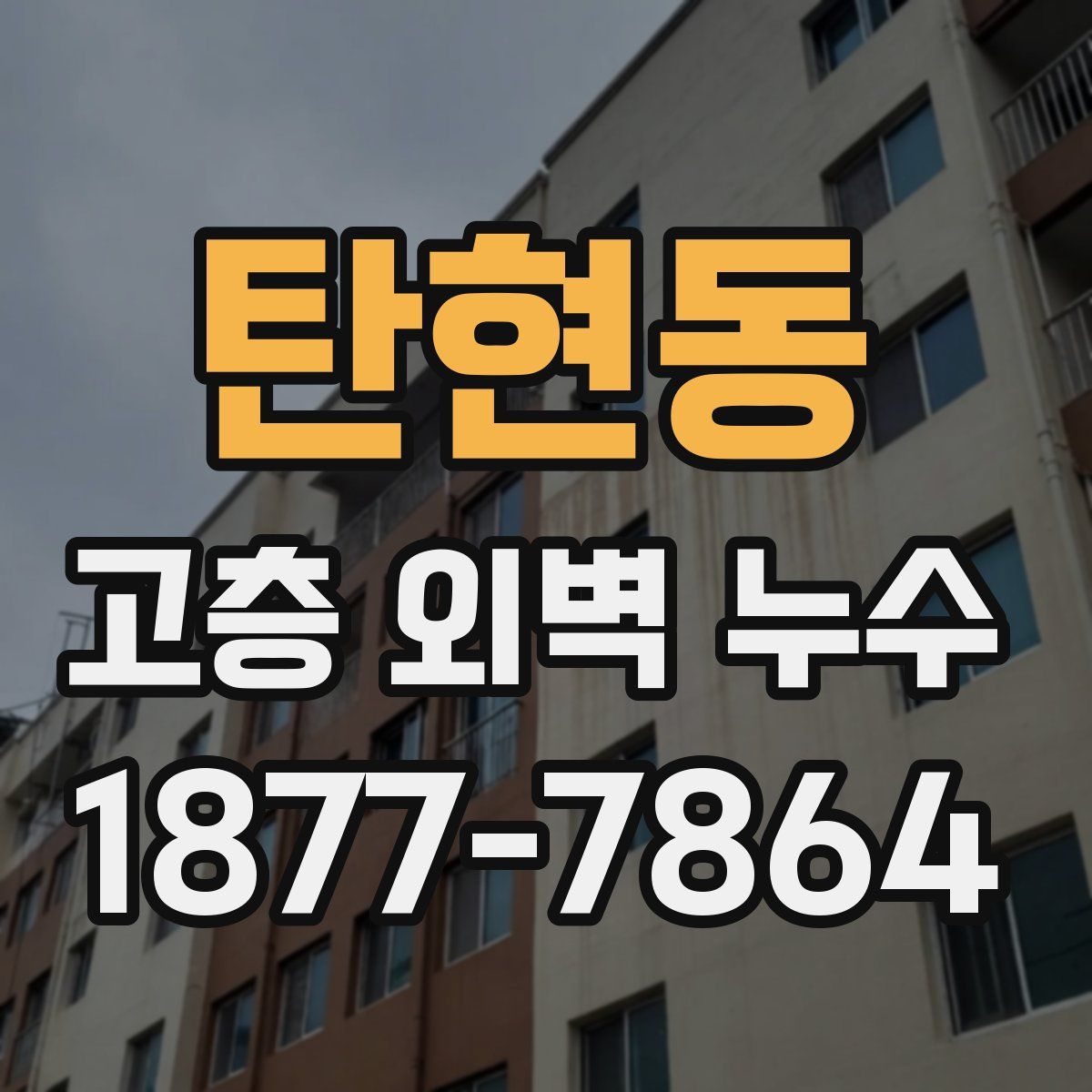 탄현동 고층 외벽 누수