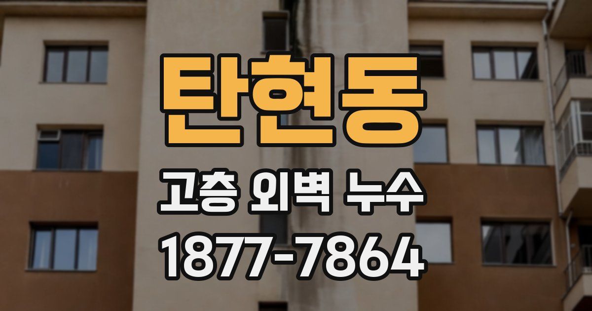 탄현동 고층 외벽 누수