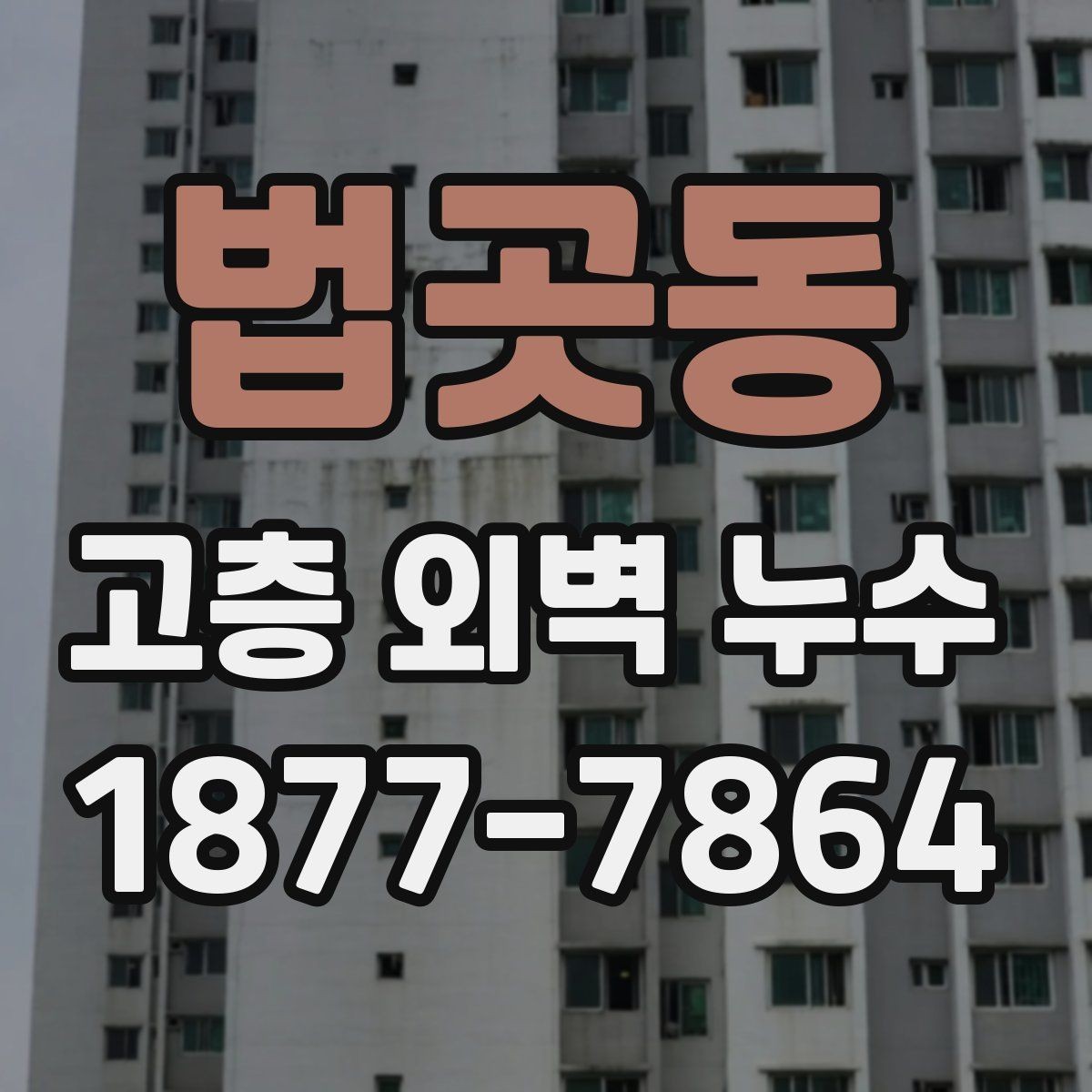 법곳동 고층 외벽 누수 보수 사례로 알아보는 실전 팁