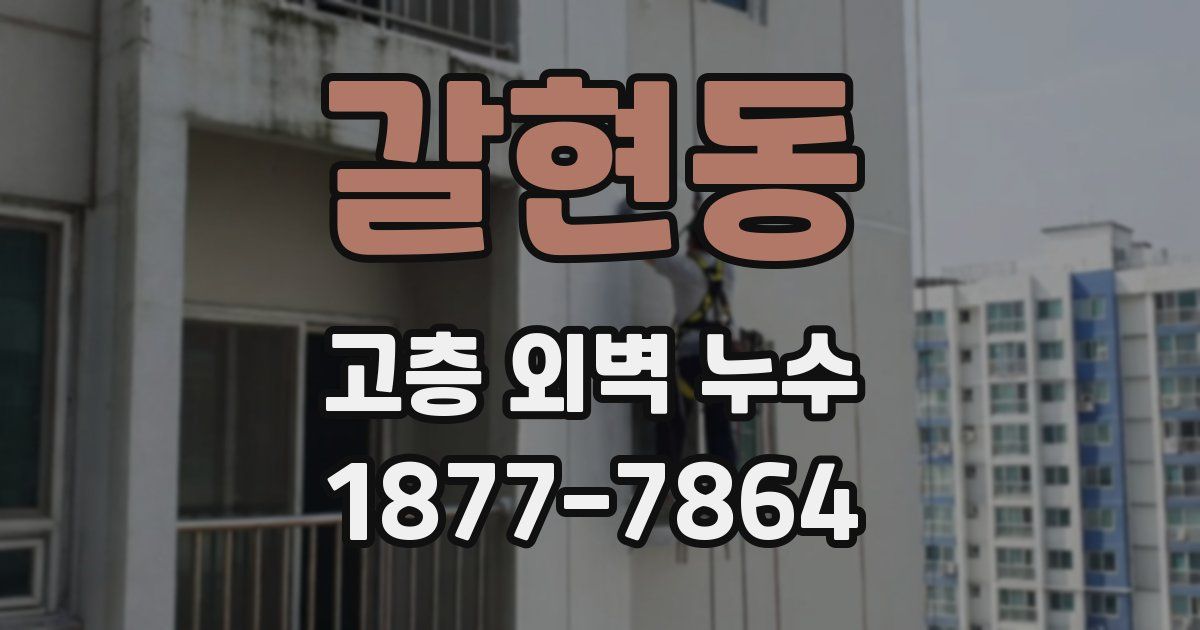 갈현동 고층 외벽 누수