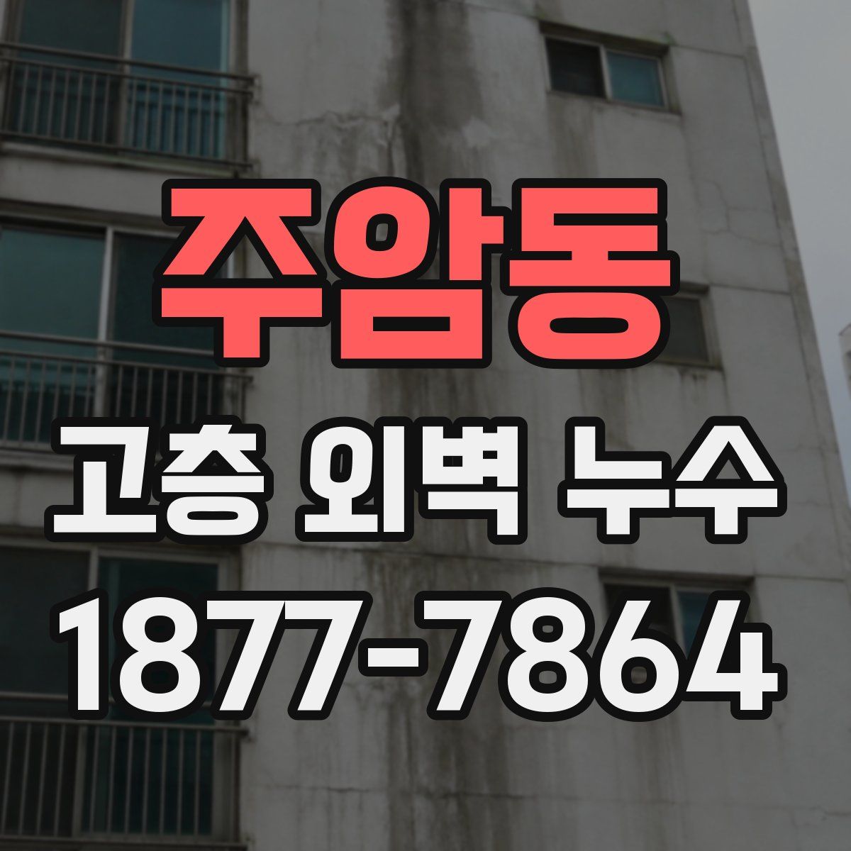 주암동 고층 외벽 누수