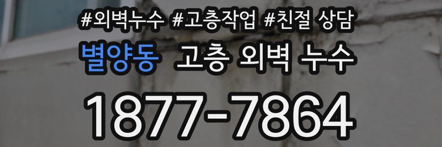 별양동 고층 외벽 누수