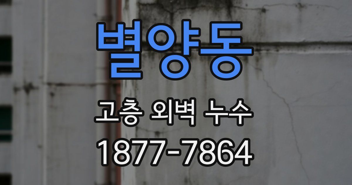 별양동 고층 외벽 누수