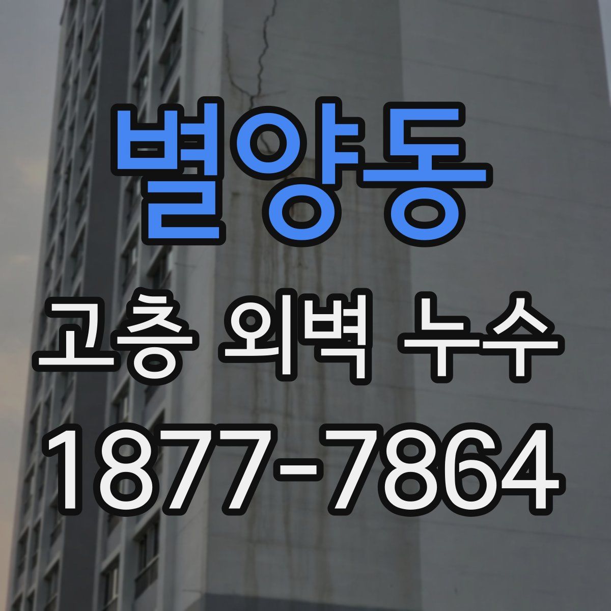 별양동 고층 외벽 누수