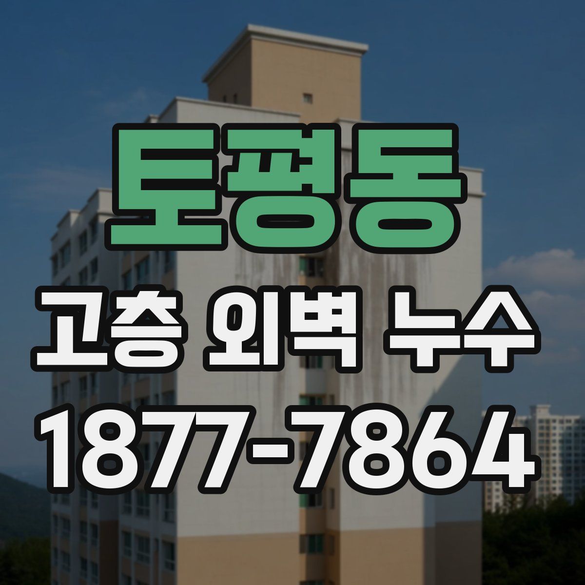 토평동 고층 외벽 누수