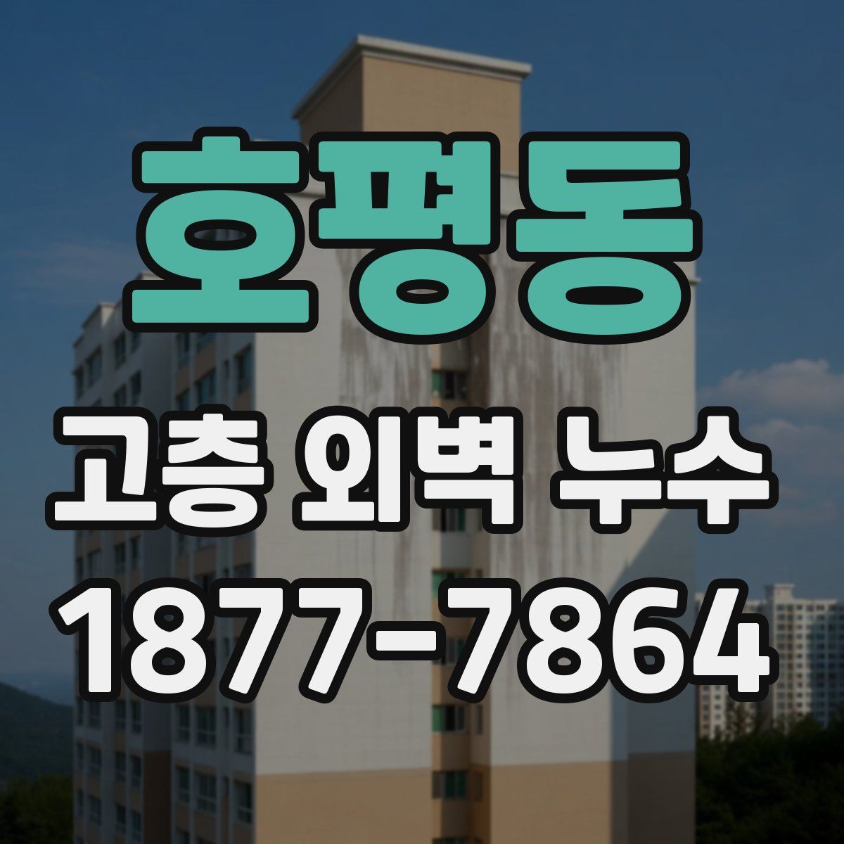 호평동 고층 외벽 누수