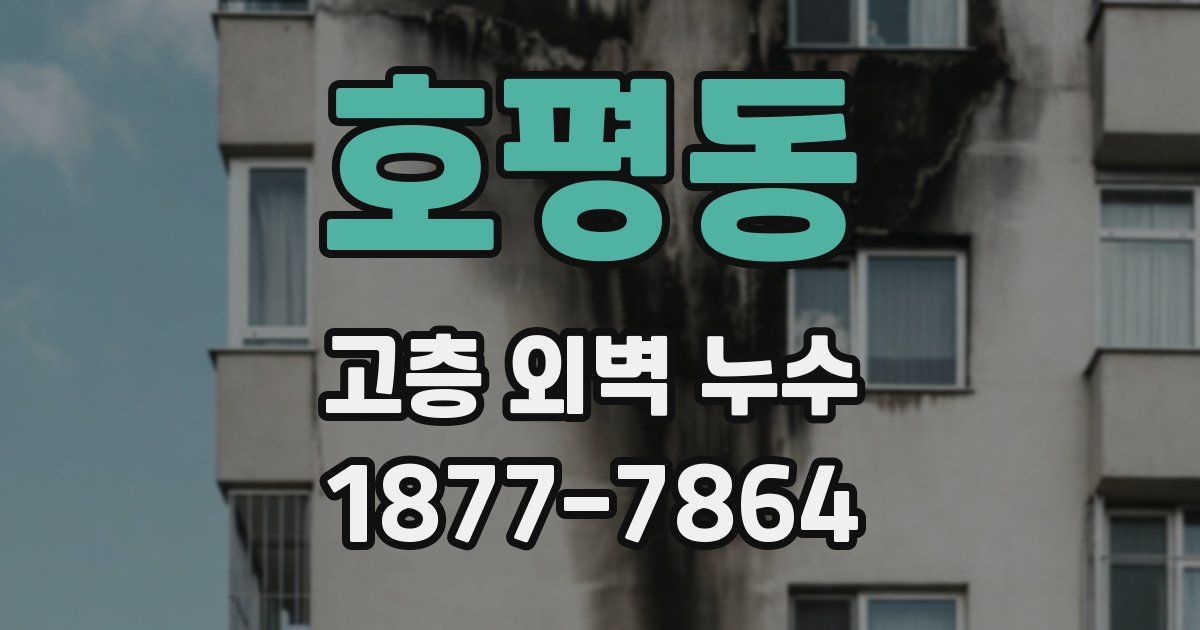 호평동 고층 외벽 누수