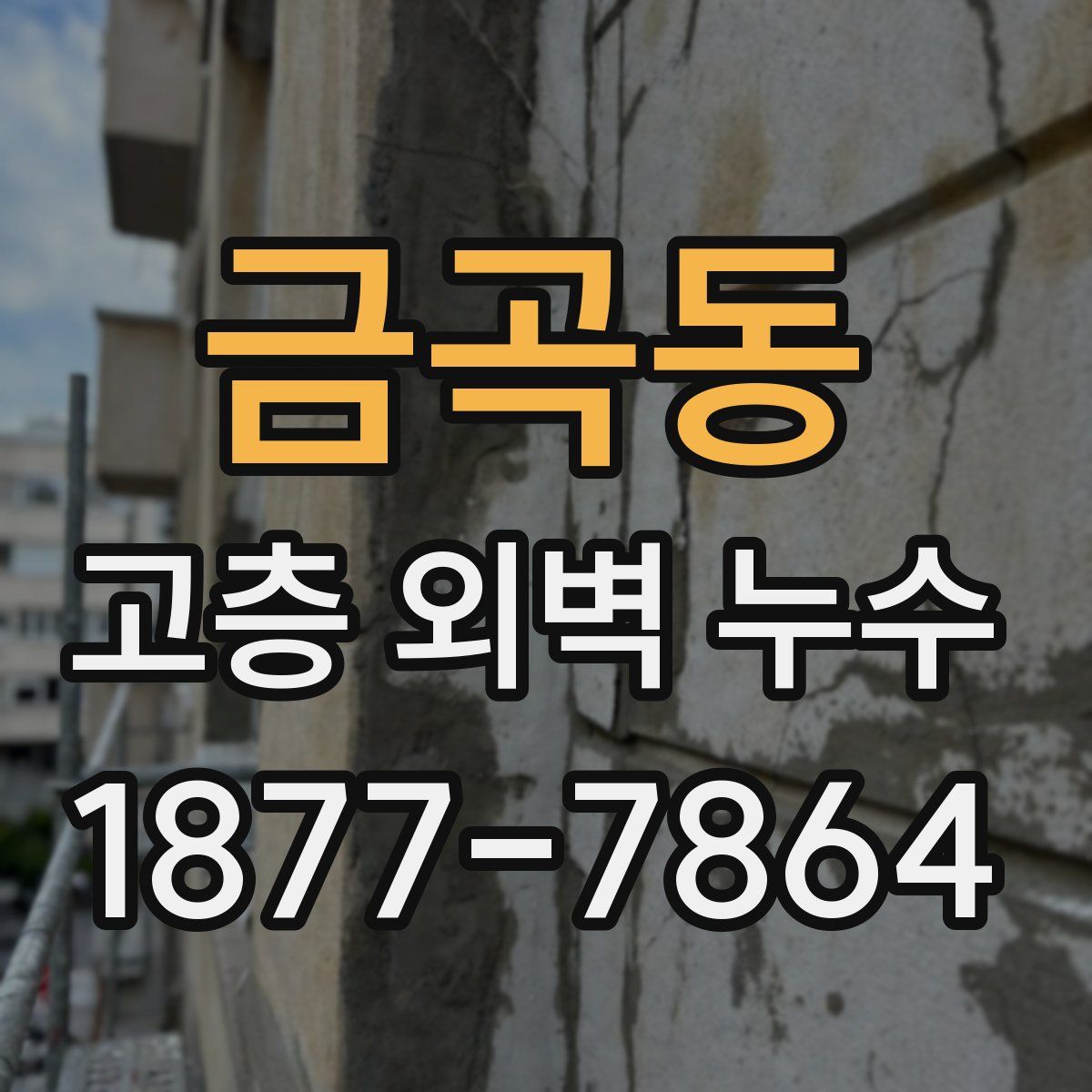 금곡동 고층 외벽 누수