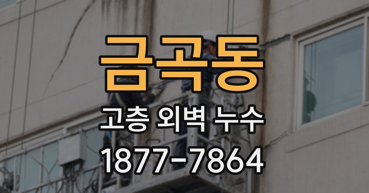 금곡동 고층 외벽 누수