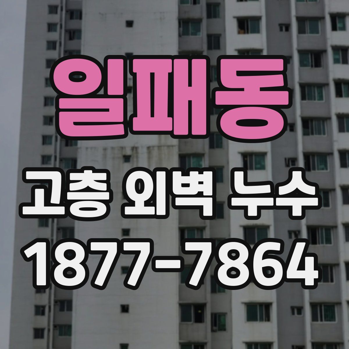 일패동 고층 외벽 누수