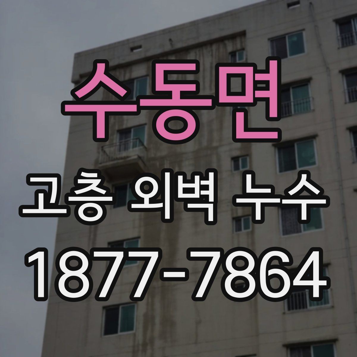 수동면 고층 외벽 누수 원인 분석부터 보수까지의 흐름