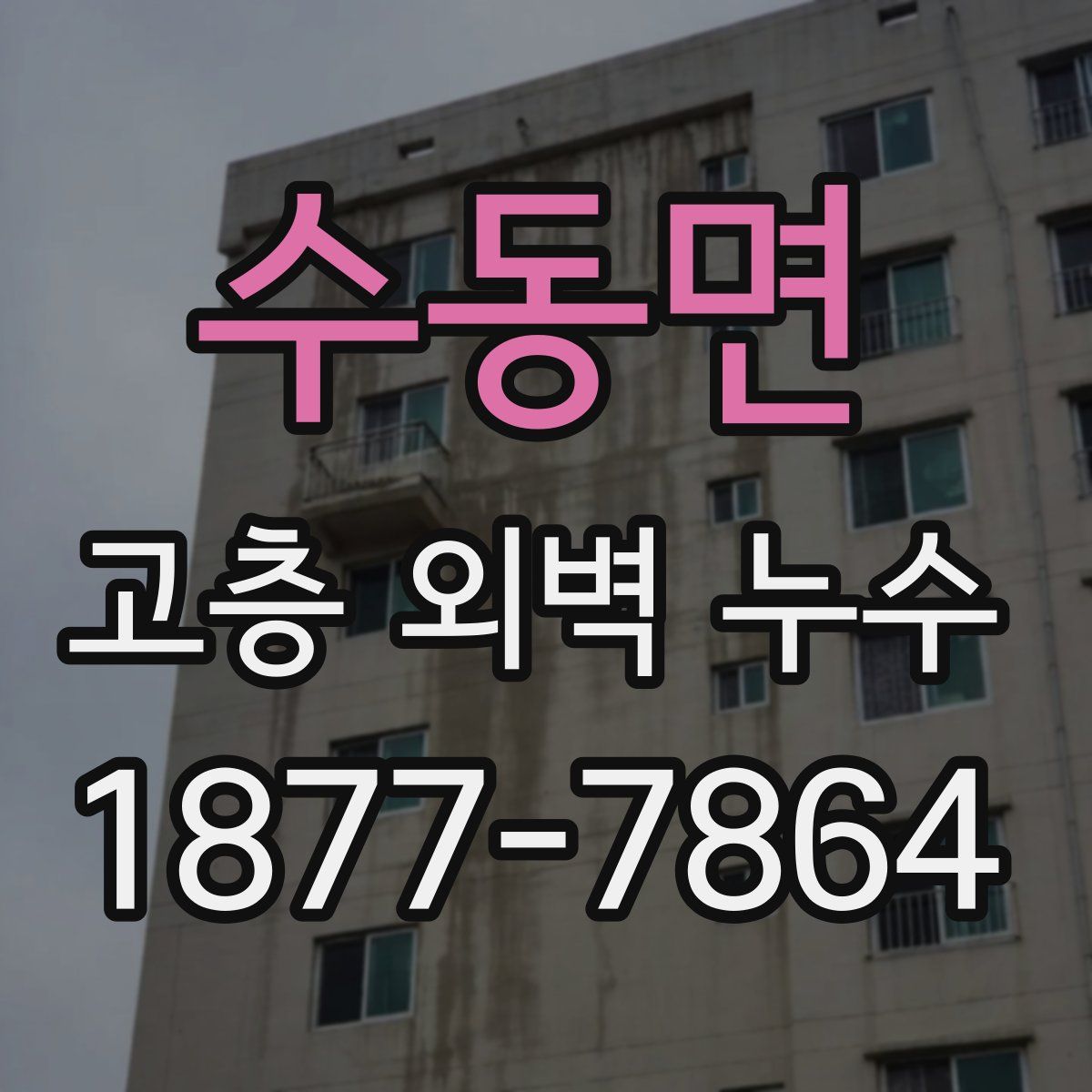 수동면 고층 외벽 누수