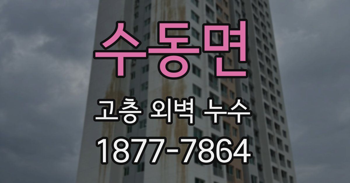수동면 고층 외벽 누수