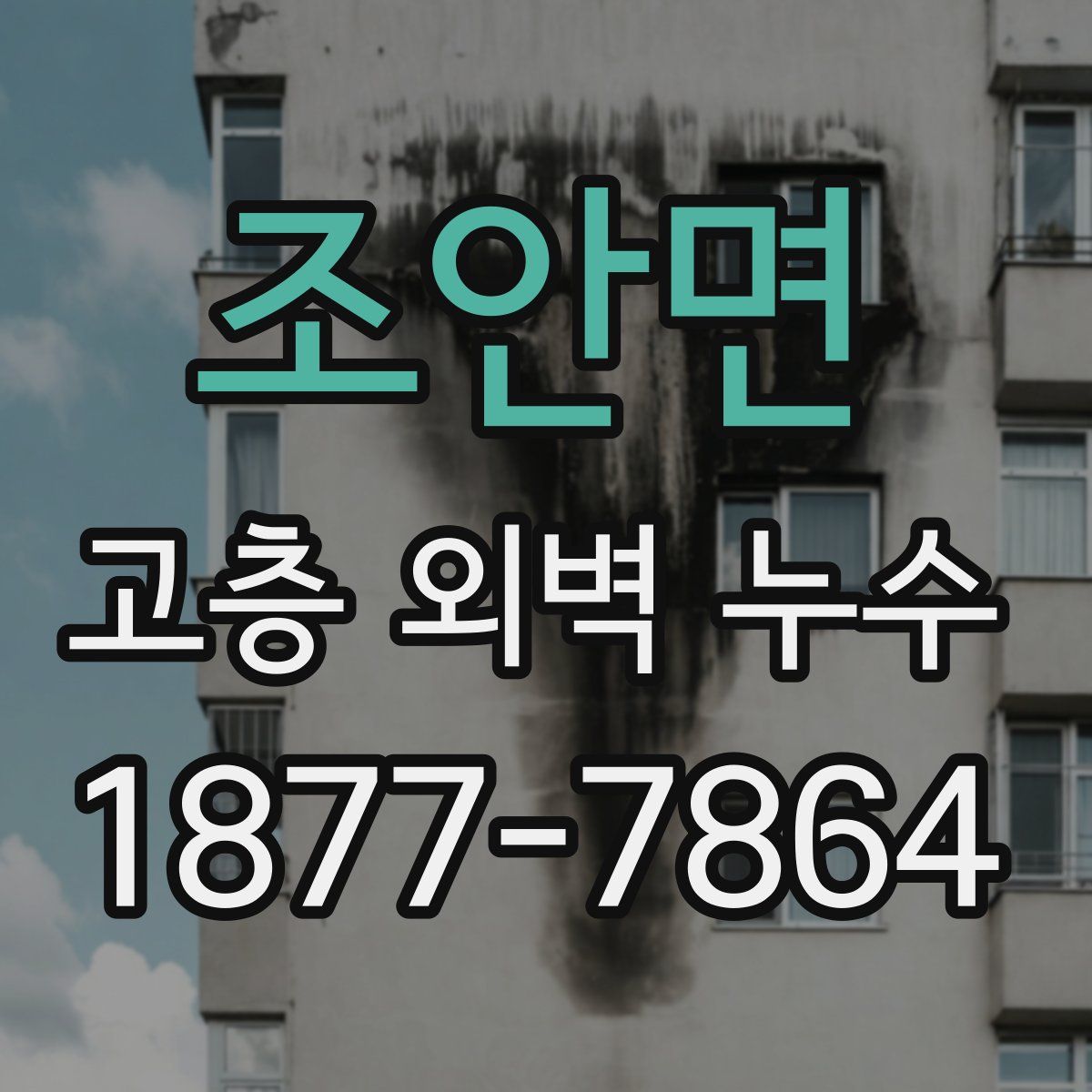 조안면 고층 외벽 누수