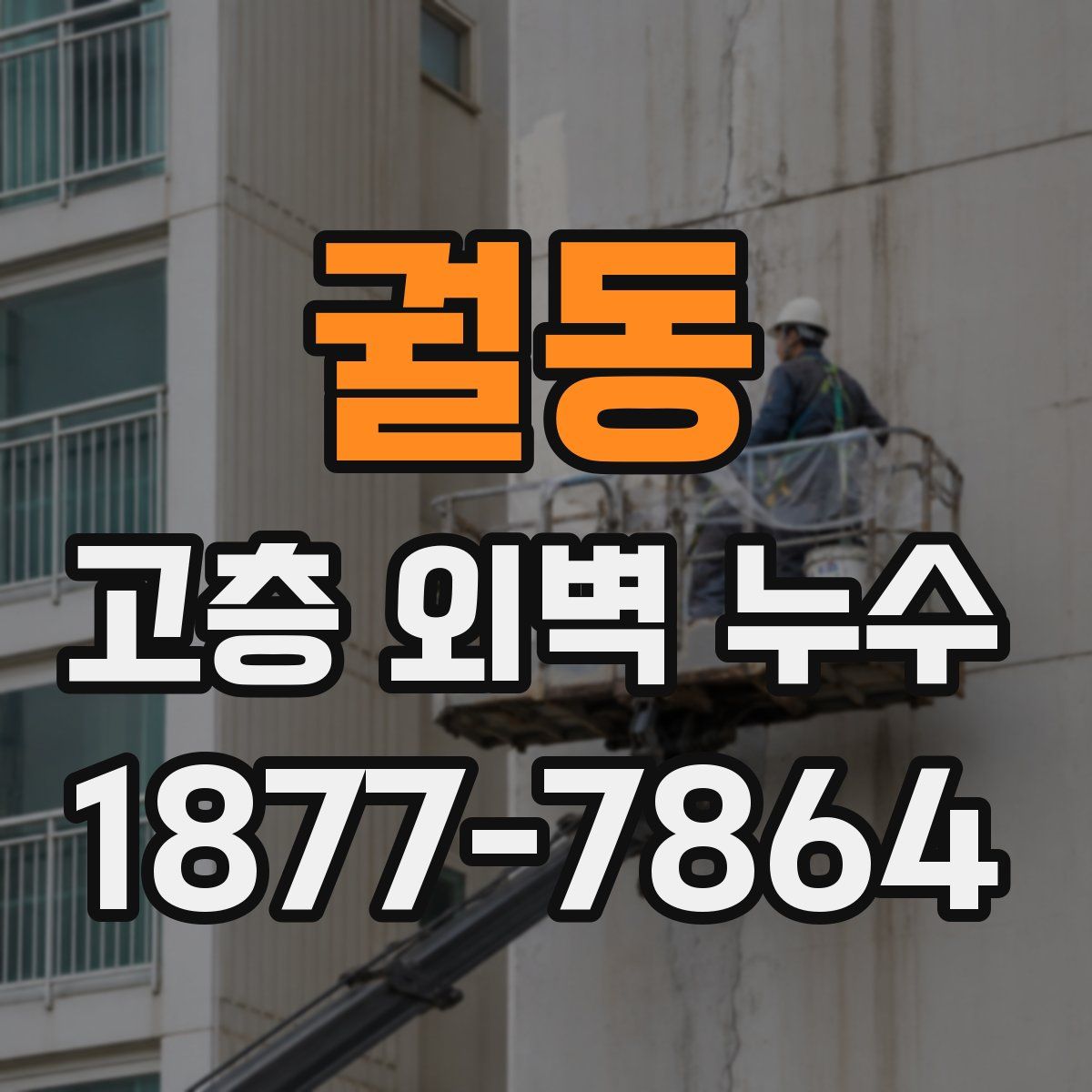 궐동 고층 외벽 누수
