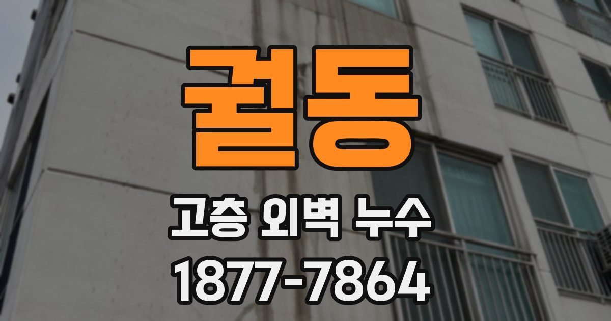 궐동 고층 외벽 누수