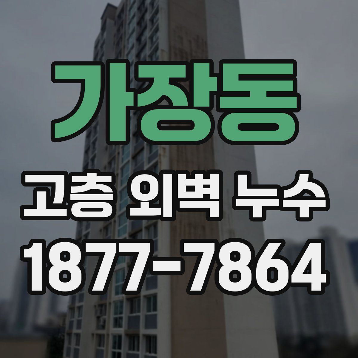 가장동 고층 외벽 누수