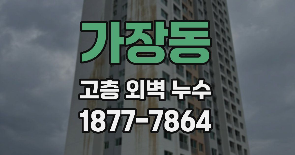가장동 고층 외벽 누수