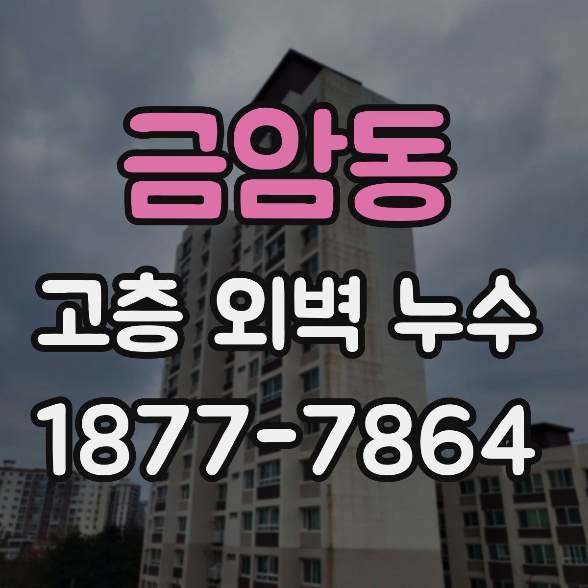 금암동 고층 외벽 누수