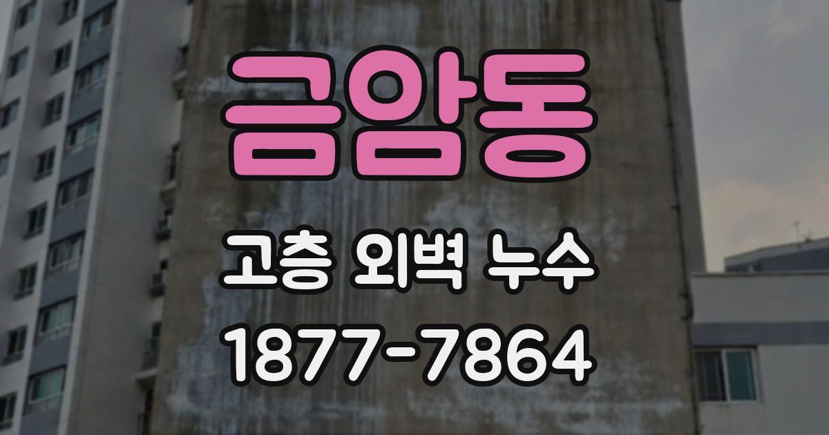 금암동 고층 외벽 누수