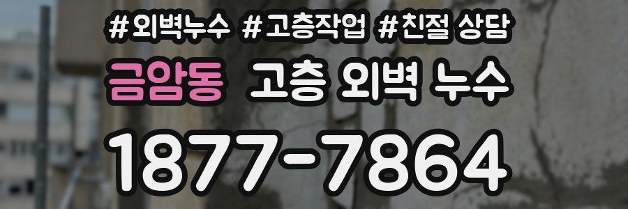 금암동 고층 외벽 누수