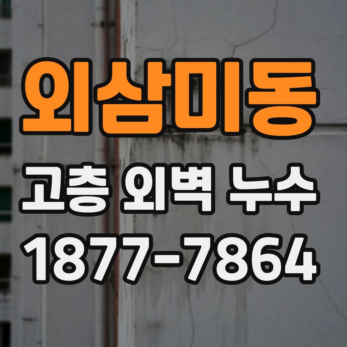 외삼미동 고층 외벽 누수