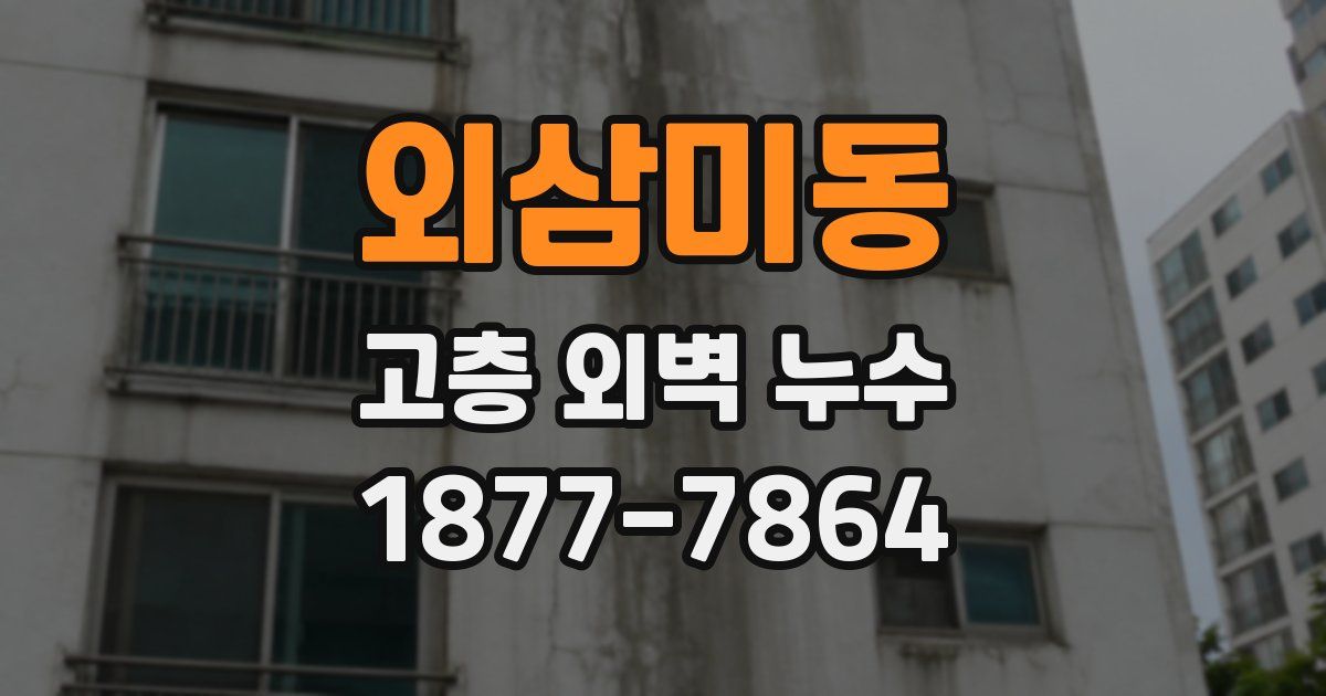 외삼미동 고층 외벽 누수