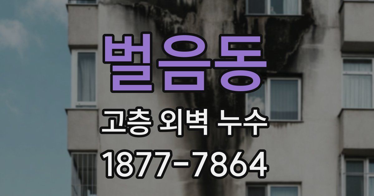 벌음동 고층 외벽 누수