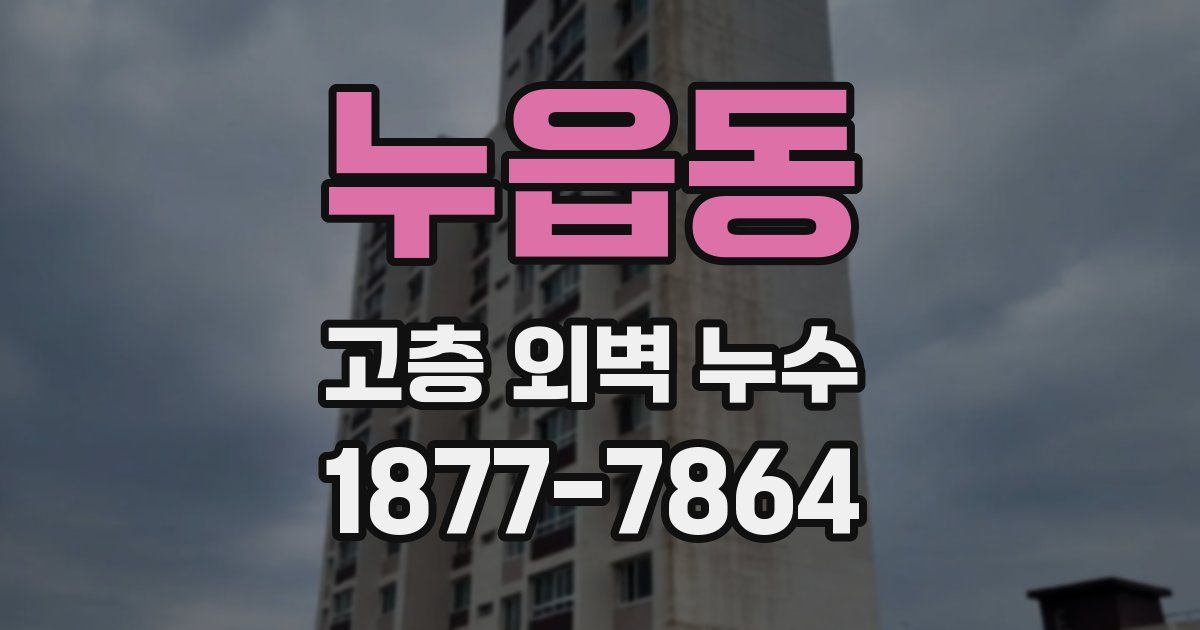 누읍동 고층 외벽 누수