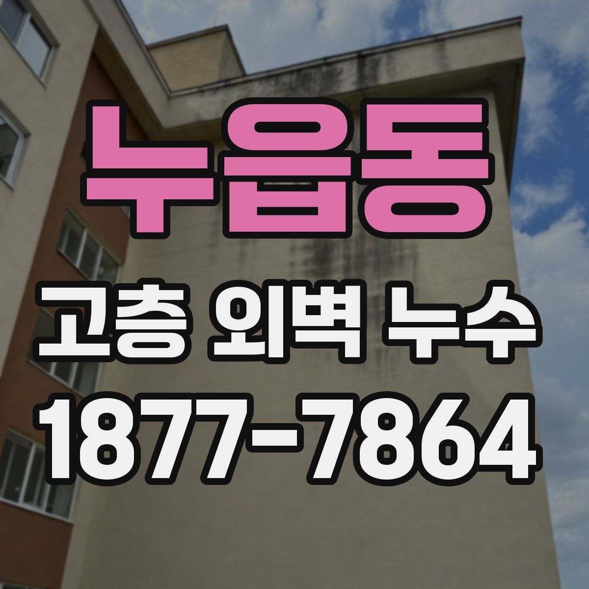 누읍동 고층 외벽 누수