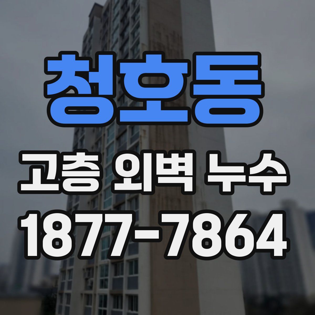 청호동 고층 외벽 누수