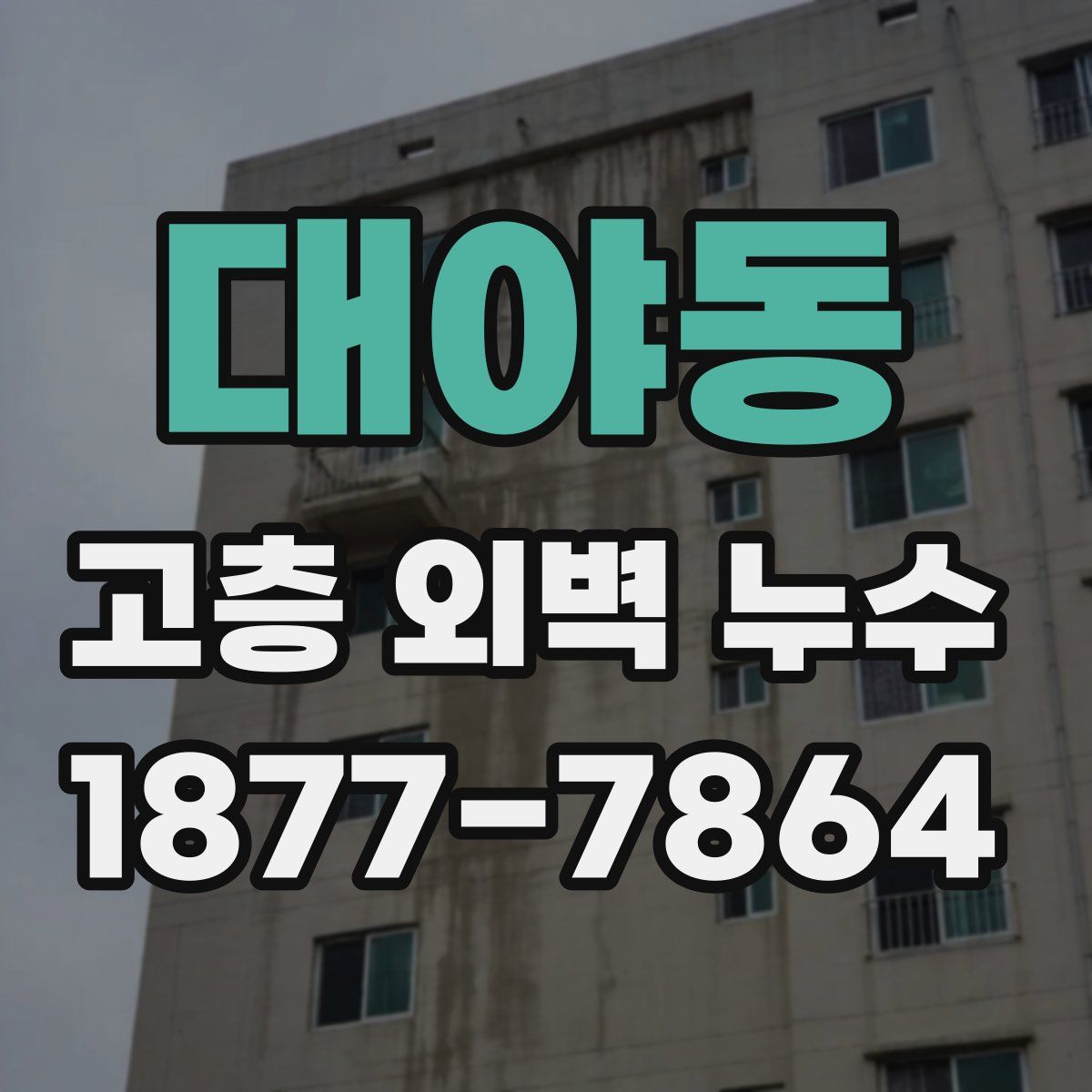 대야동 고층 외벽 누수