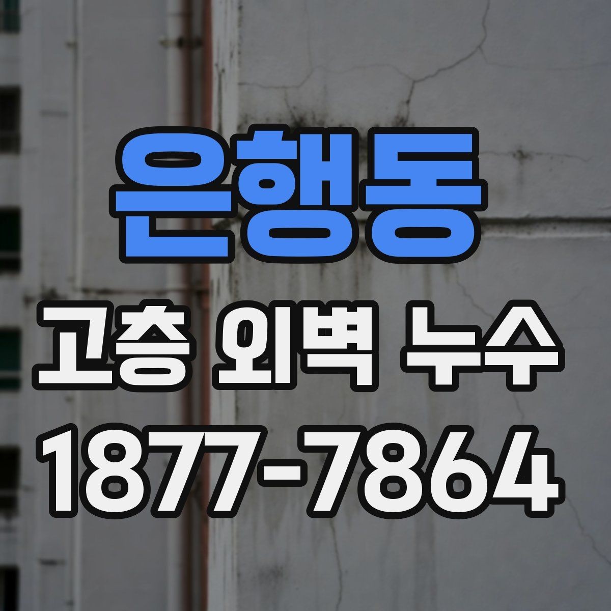 은행동 고층 외벽 누수 균열이 보일 때 살펴볼 것