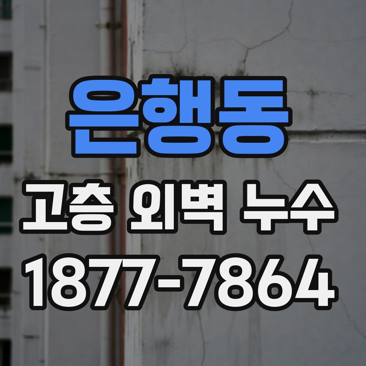은행동 고층 외벽 누수