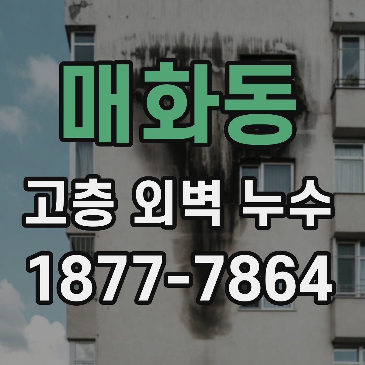 매화동 고층 외벽 누수