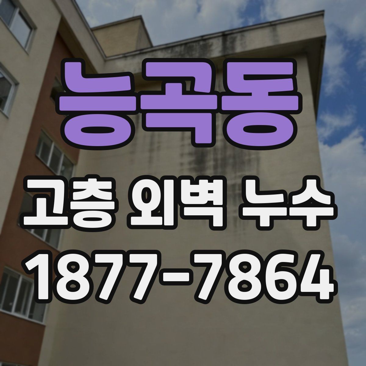 능곡동 고층 외벽 누수 진단을 효율적으로 진행하는 방법
