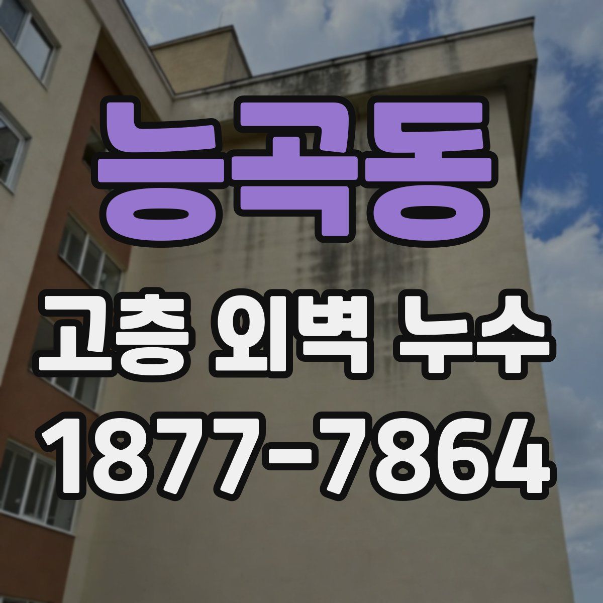 능곡동 고층 외벽 누수