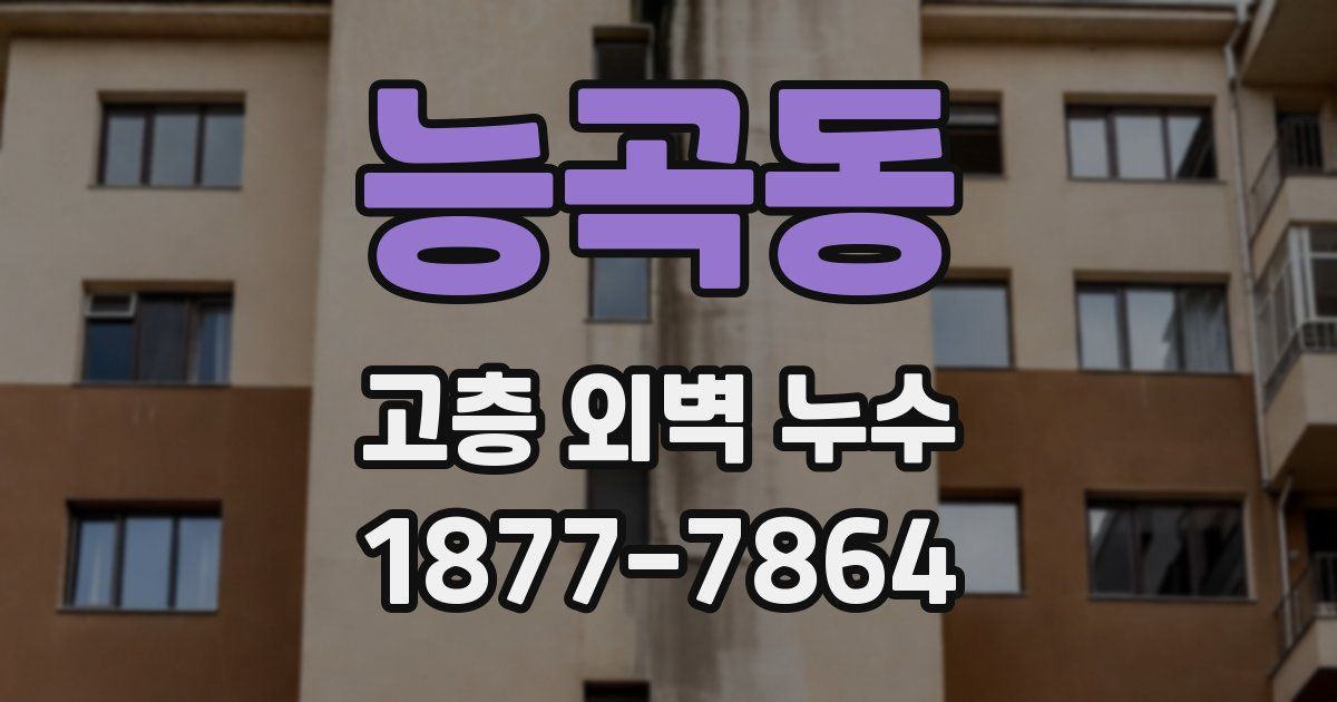 능곡동 고층 외벽 누수