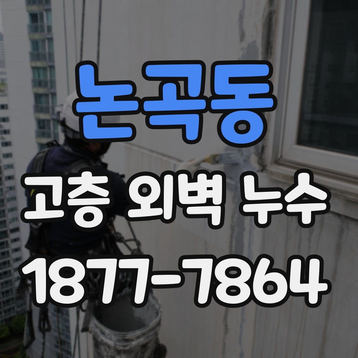 논곡동 고층 외벽 누수 보수 범위를 정하는 기준