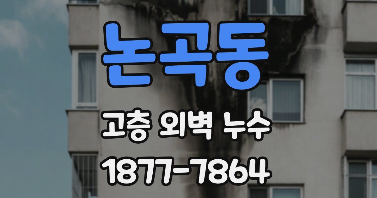 논곡동 고층 외벽 누수