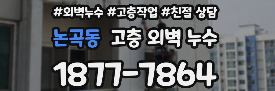 논곡동 고층 외벽 누수