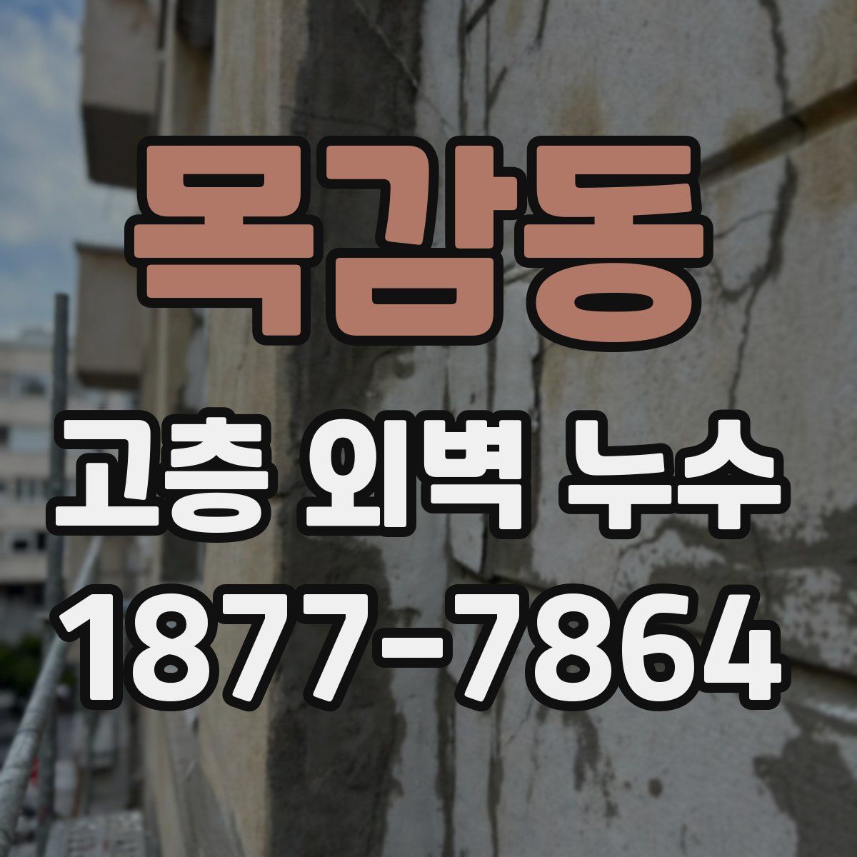 목감동 고층 외벽 누수